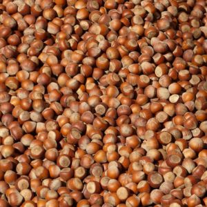 hazelnuts, nuts, brown